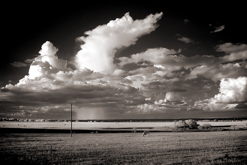 Distant Thunderstorm Near Kenedy, TX \� Dave Hickey